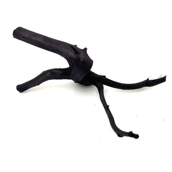Garnelenmarkt Schwarze Moorwurzel klein xs #1