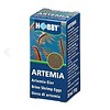 Artemia Eier 20ml