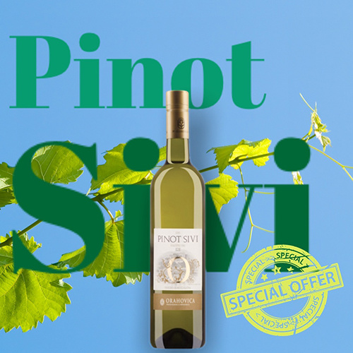 Pinot Sivi