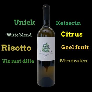 Unique island wine: Vina Carić Cesarica