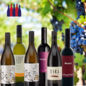 Croatianwine Online Box Tasting box: Internationally known wine from Croatia