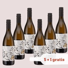 Super Discount Wine: 6x Bolfan Pinot Sivi - Organic