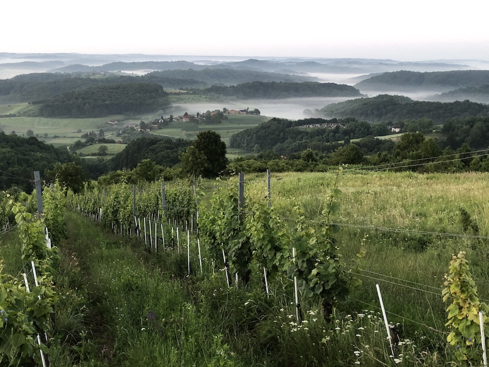 Zagorje