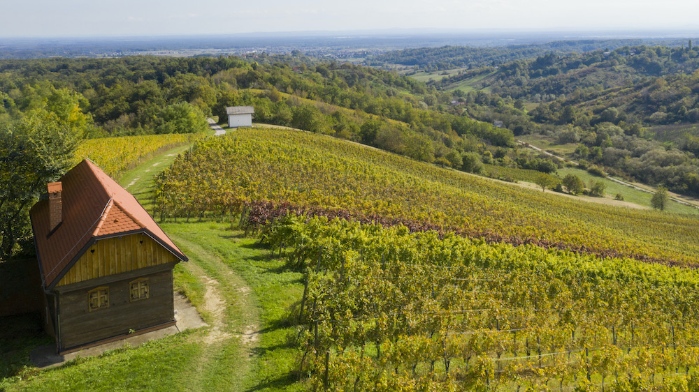 Wine regio Zagorje Plesevica