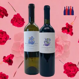 Croatianwine Online Box Proefdoos: Het Liefdeskoppel