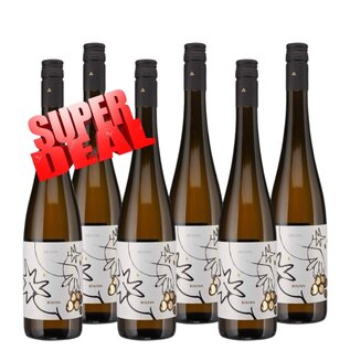 SUPER DEAL: 6x Bolfan Riesling - Biodynamisch