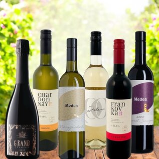 Tasting Set – Fresh Croatian Summer Wines