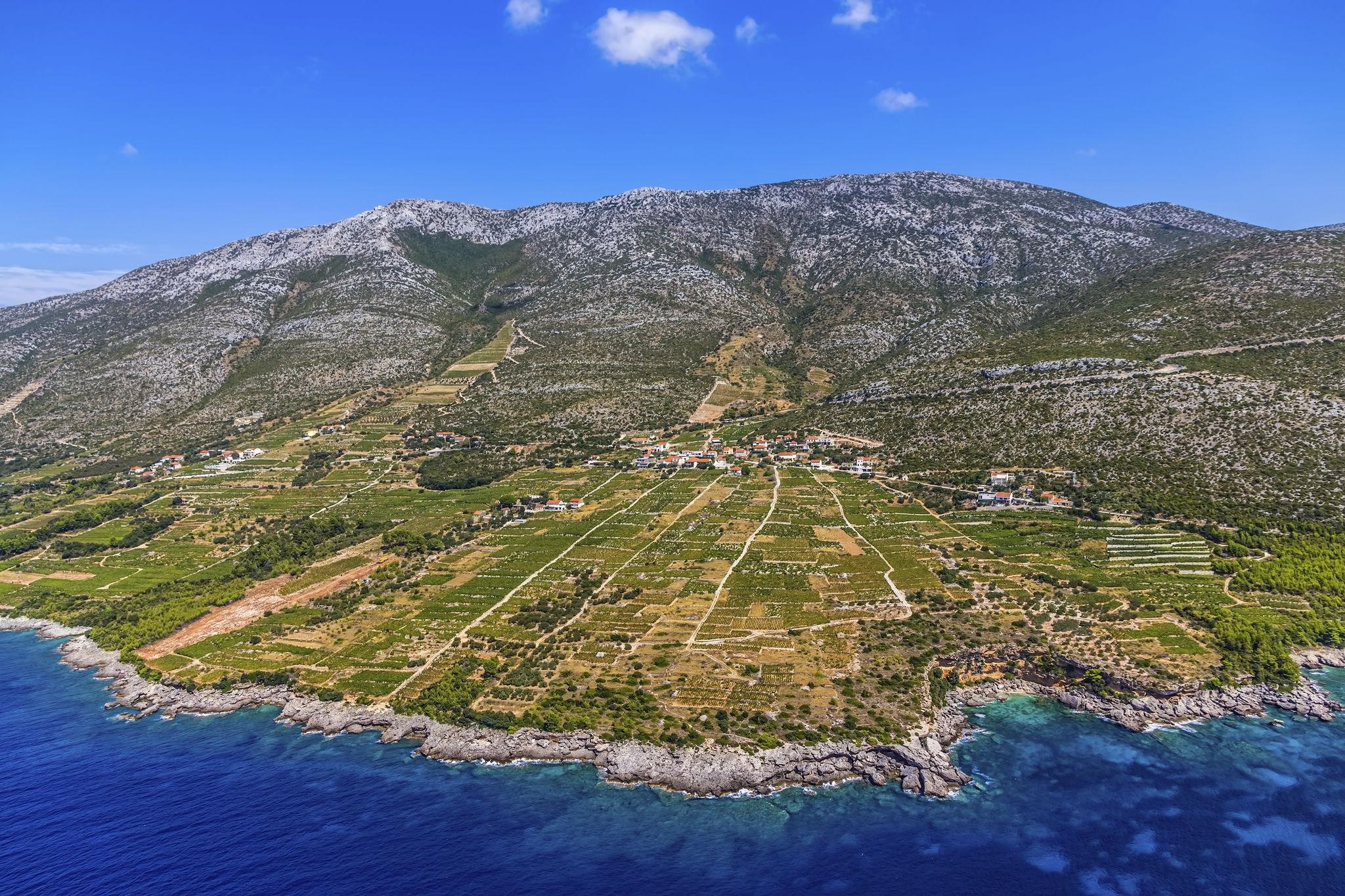 Vineyards along the Adriatic coast in Croatia with sea views and rocky slopes