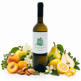 Vina Carić Vina Carić Cesarica