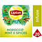 Lipton Morocco mint & spices