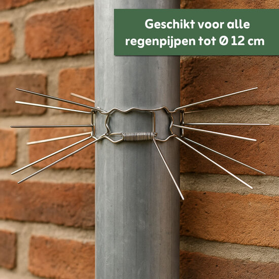 MartGuard® RVS Anti-marter regenpijp kraag (set van 2)