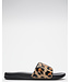 Reef One Slide - Classic Leopa