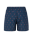 Protest PRTALVIS beachshort - Night Sky navy