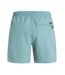 Protest FASTER beachshort - Arcticgreen