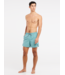 Protest FASTER beachshort - Arcticgreen