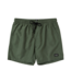 Mystic Brand Swim Shorts - Brave Green