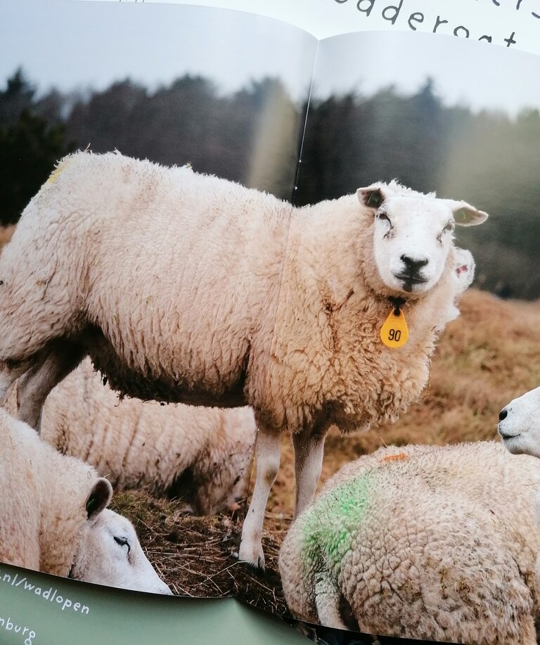 Visserstruien magazine, met breipatronen en verhalen van de Waddenzeekust