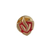 Brandweer insigne Brandweer insigne