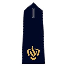 Epaulet Fire Brigade