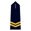 Epaulet Brandwacht