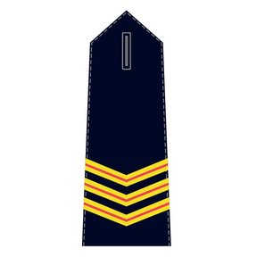 Epaulet Hoofdbrandwacht