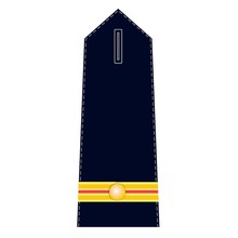 Epaulet Fire Brigade
