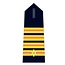 Epaulet Ajunct-Hoofdcommandeur