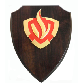 Brandweer wapenschild 3D