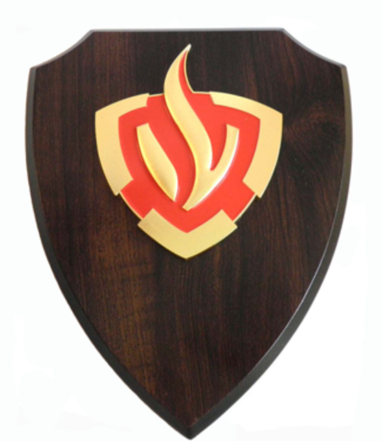 Brandweer wapenschild 3D