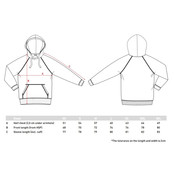 Hooded sweater big logo