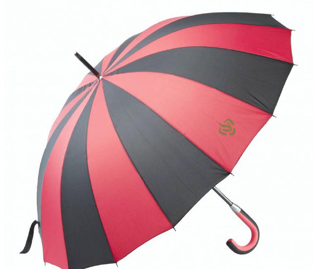 Umbrella Fire Department