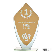 Glass Award Skills test