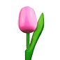 houten tulpen in de kleur rose / wit 20cm