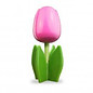 Pink / white wooden tulip on a leaf