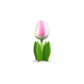 Wit - roze houten tulp op blad