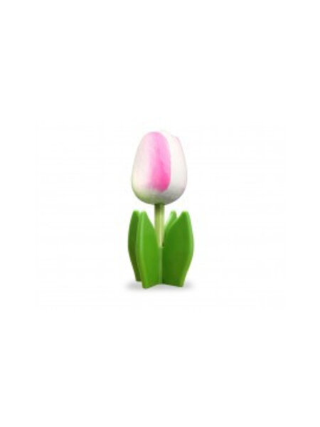 Wit - roze houten tulp op blad