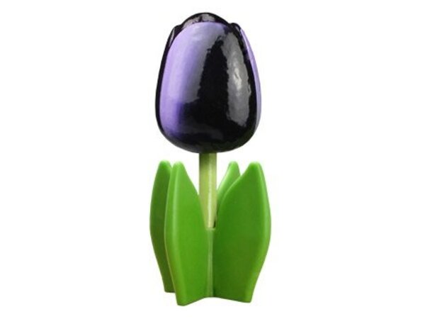 Donker paarse houten tulp op een blad