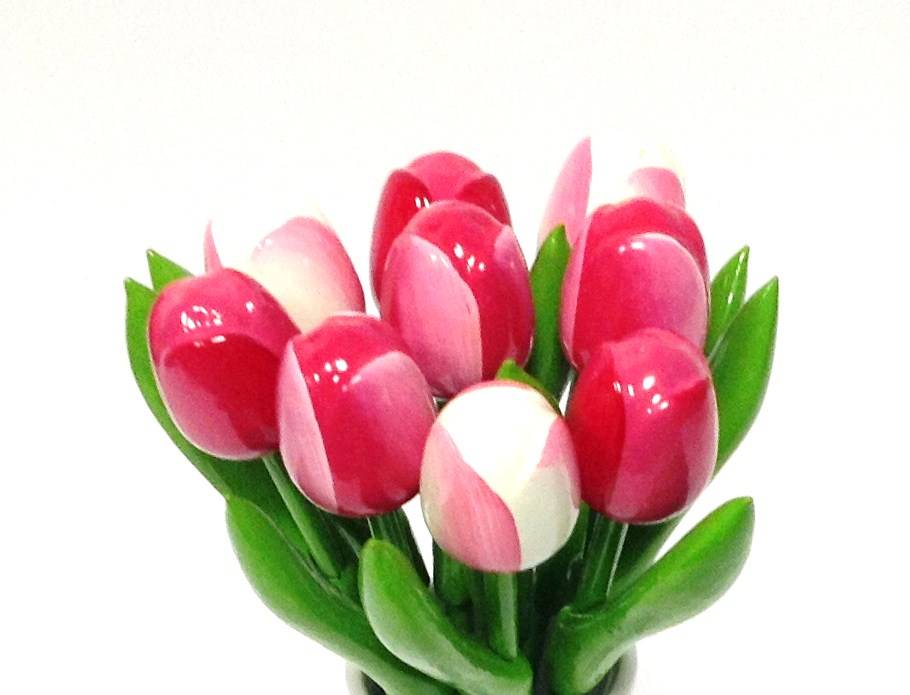 Die schönsten Hölzernen Tulpen in abwechslungsreichen Versionen