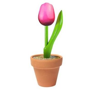 Hölzerne kleine Tulpe im Rosa/weiß in einem Topf