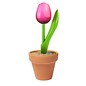 Little wooden tulip in a pottery jar in the color Pink-white