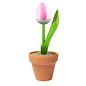 Little wooden tulip in a pottery jar in the color Pink