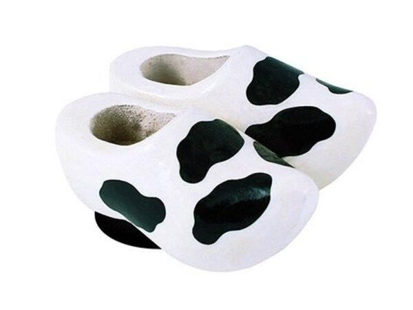 White magnet clogs cow