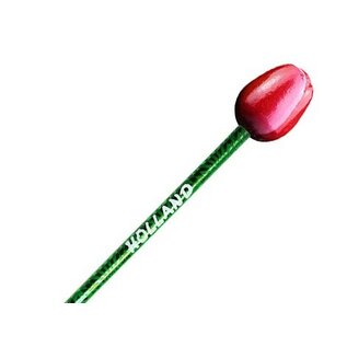 Rood-witte houten tulp op een potlood