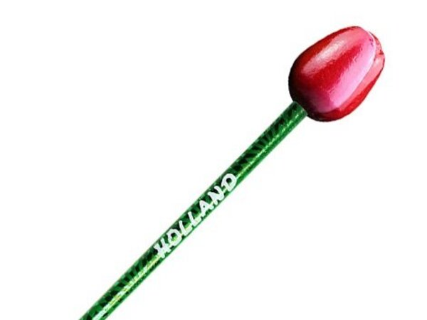 Rood-witte houten tulp op een potlood
