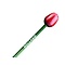  Red-white wooden tulip on a pencil
