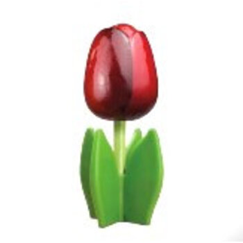 Red wooden tulip on a leaf