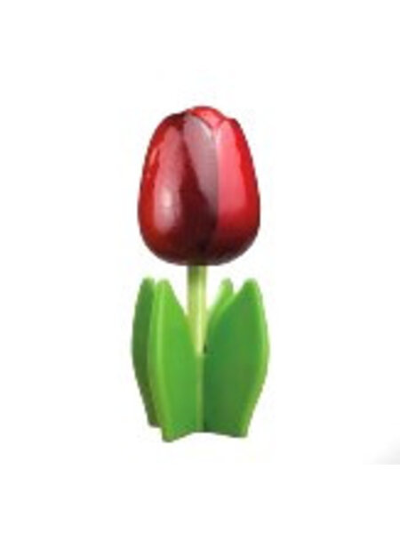 Rode houten tulp op een blad