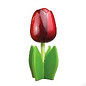 Rode houten tulp op een blad