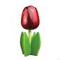 Rote Holz Tulpe auf einem Blatt