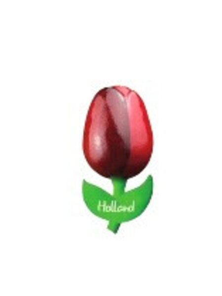 houten tulp op een magneet rood